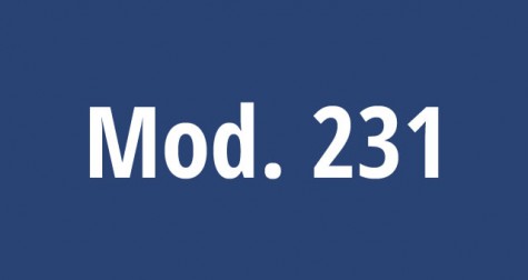 Modello 231